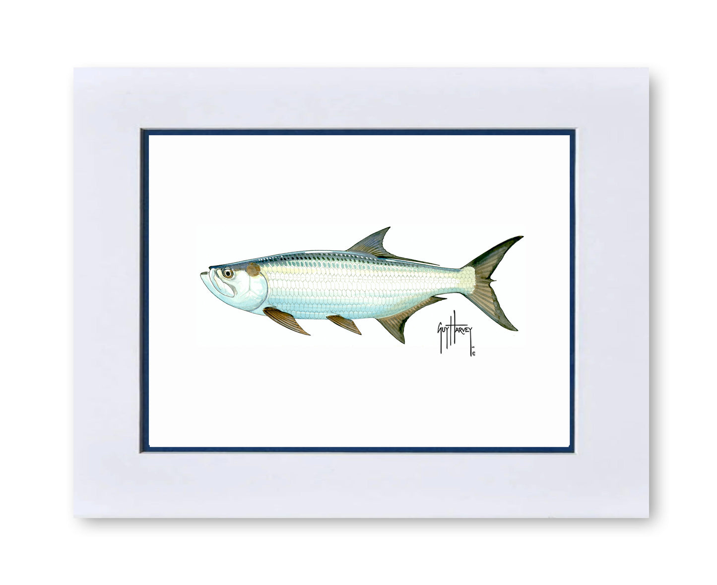 "Tarpon" Grande Mini Print