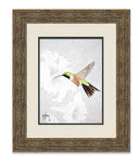 "Bahamas Woodstar" Limited Edition Print