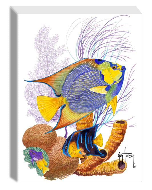 "Angelfish Duet" Small Canvas Art