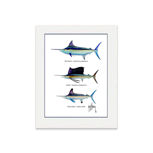 "Atlantic Grand Slam Species" Grande Mini Print