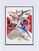 "Big Animal Dive" Grande Mini Print