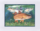 "Chums" Mini Print