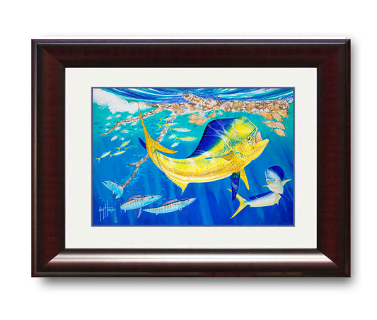 "Dolphin Oasis" Grande Mini Print