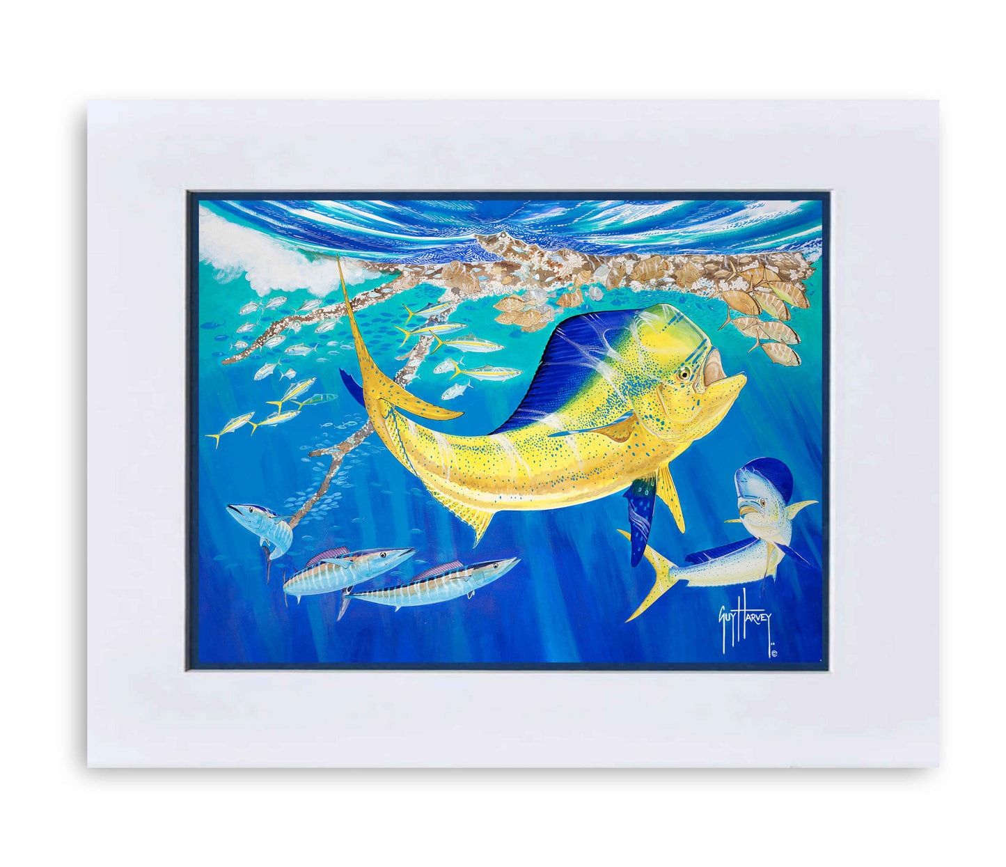 "Dolphin Oasis" Grande Mini Print