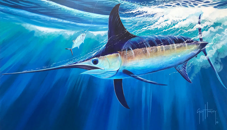 Guy Harvey Artwork