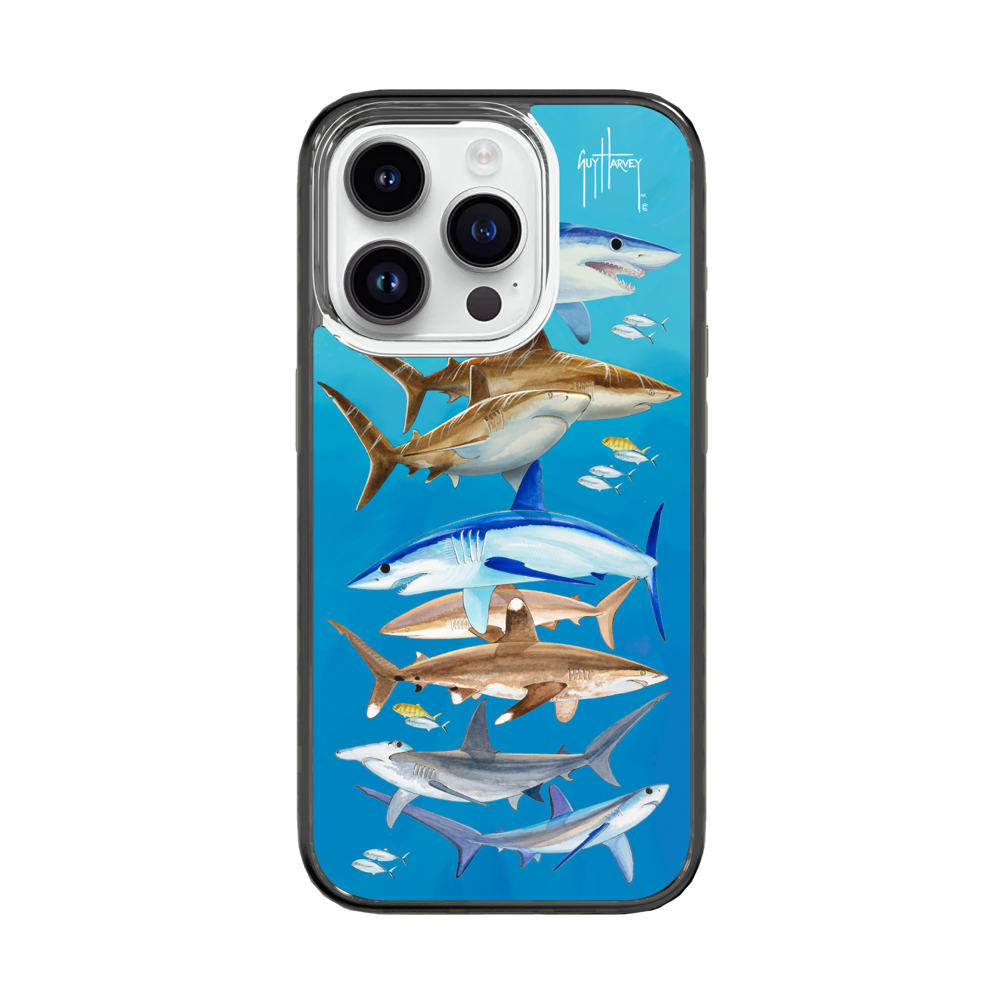 iPhone 15 Models - Magnitude Shark Phone Case