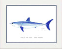 "Mako Shark" Grande Mini Print