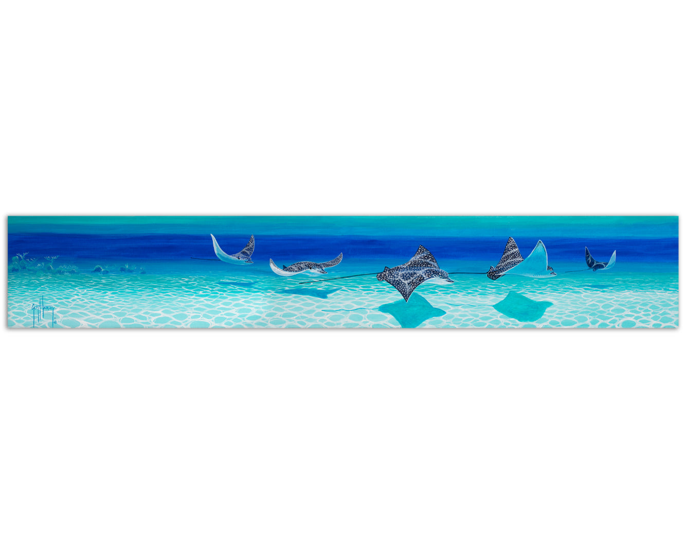 Canvas Wall Art: Marine Wildlife & Fish Art