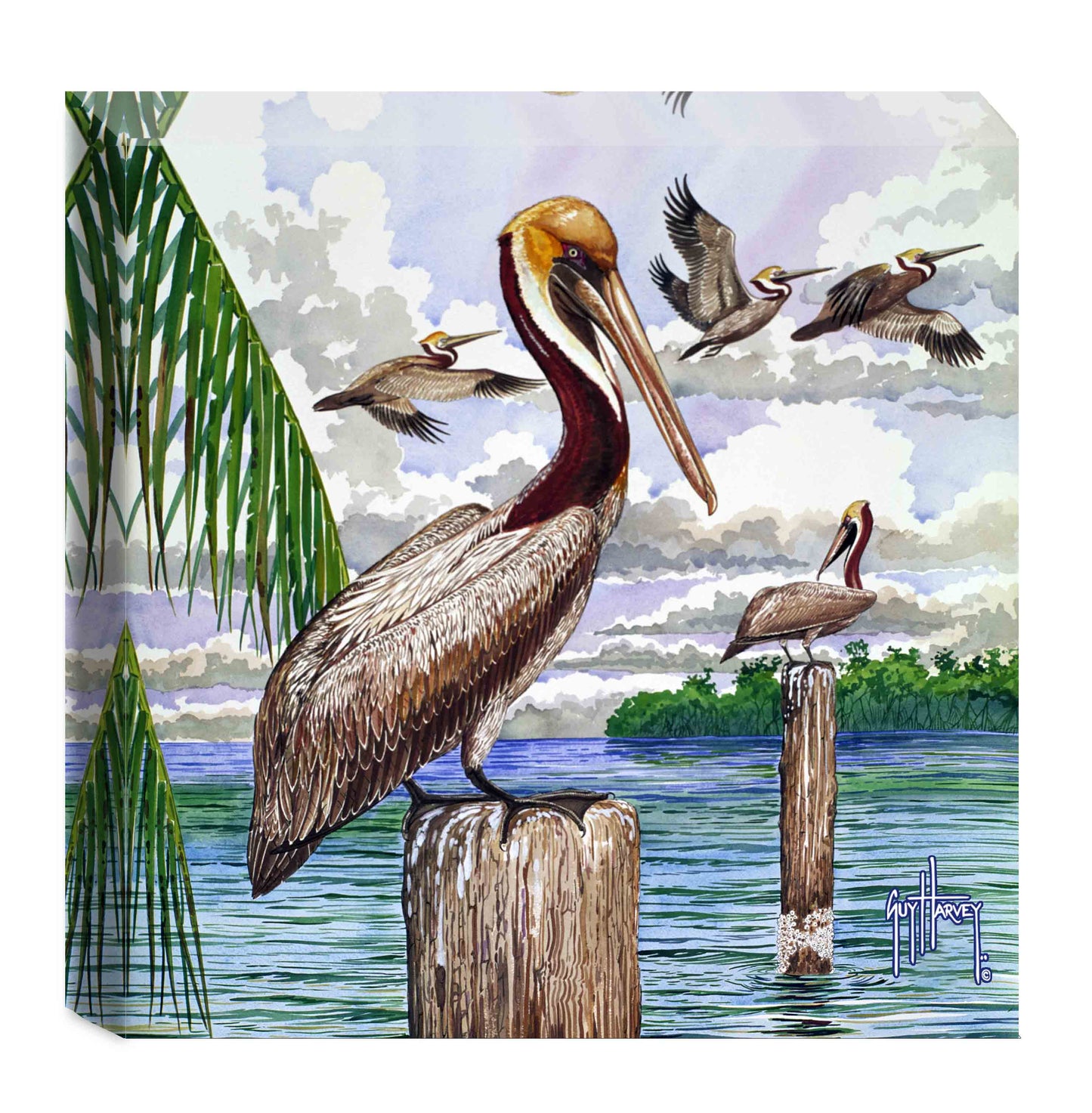 "Pelican II" Small Canvas Art