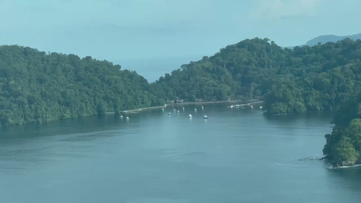 Video with short clips from the Guy Harvey Foundation expedition in Tropic Star Lodge