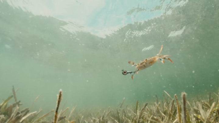 Fall 2026 Season Video from Guy Harvey showcasing marlin air.