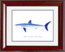 "Mako Shark" Grande Mini Print