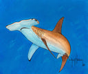 "Single Hammerhead" Original