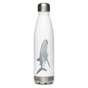 Whale Shark Decal