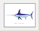 "Swordfish" Grande Mini Print