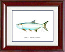 "Tarpon" Grande Mini Print