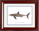 "White Shark" Grande Mini Print