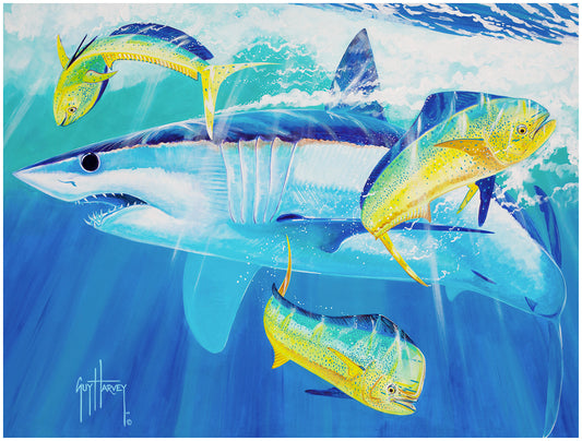 Mako Wish Aluminum Art View 1