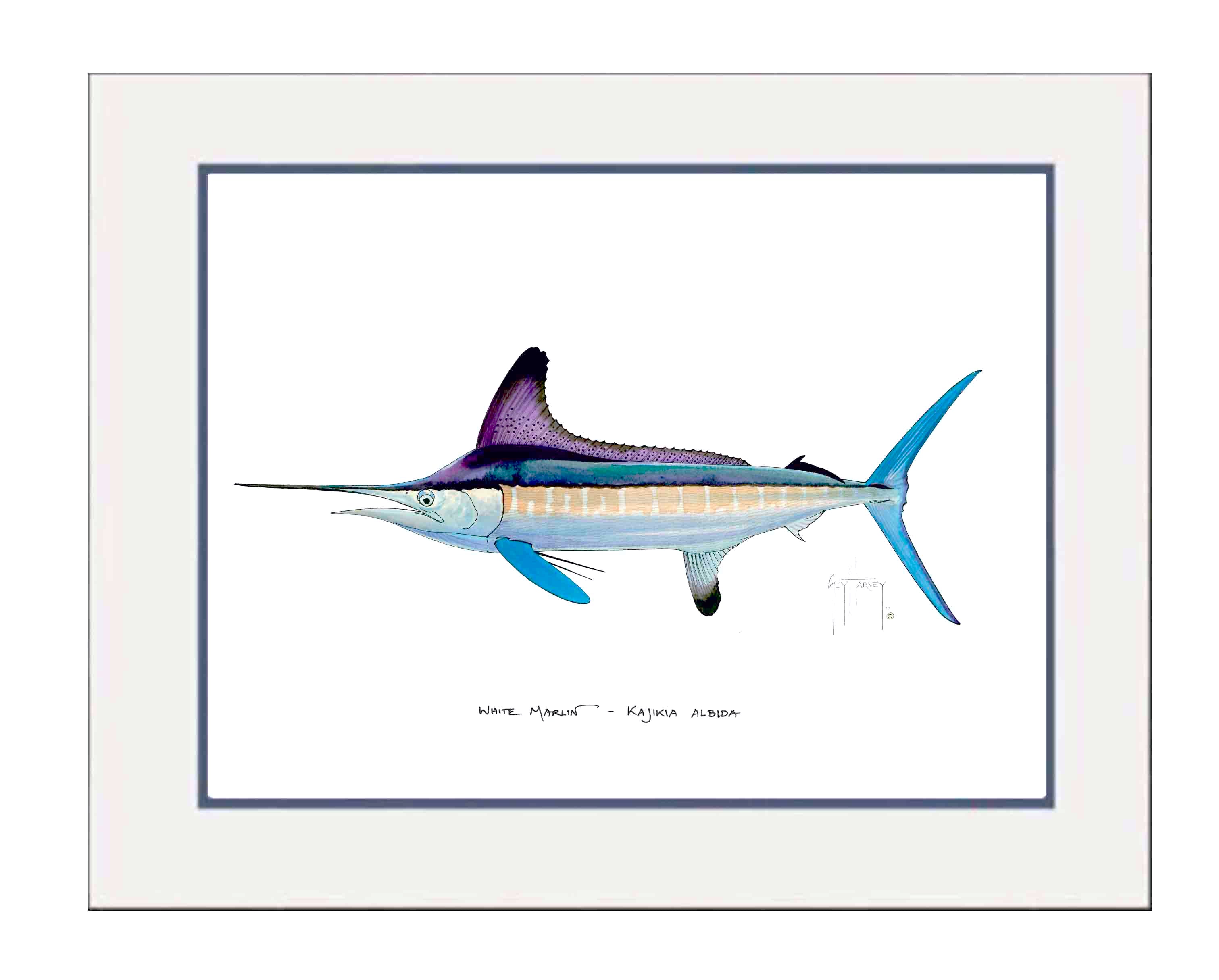 White Marlin Mini Print View 1