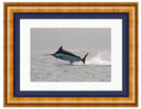 MADERIA BLUE PHOTO ART FRAMED View 1