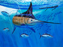 Multiple Choice Skipjacks View 1
