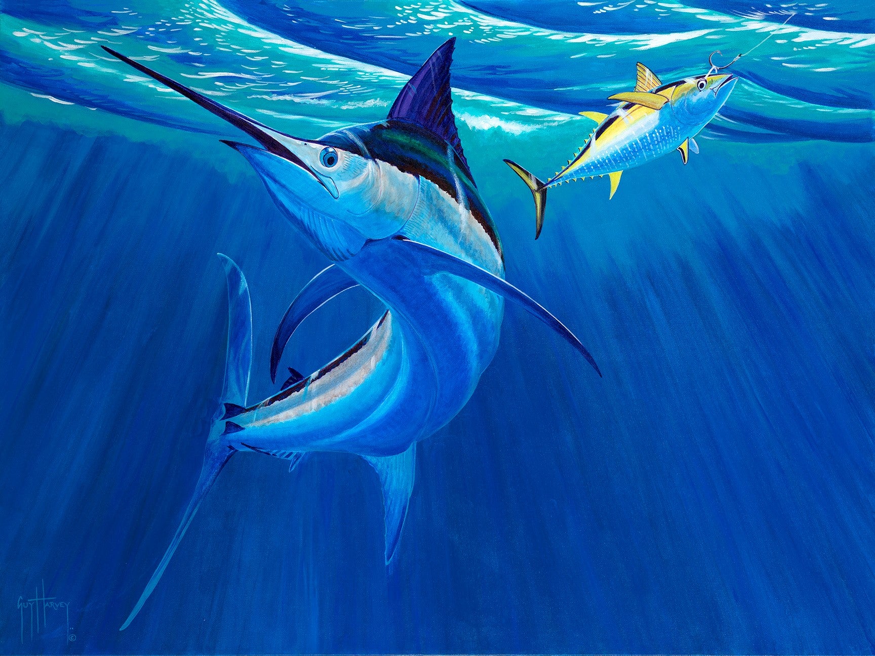 Baigor Fish Medium Big Fish