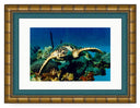 HAWKEYE PHOTO ART FRAMED View 1