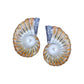 AC NAUTILUS EARRINGS WITH PEARLS