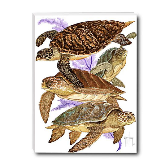 TURTLE COLLAGE SMALL CANVAS ART View 1