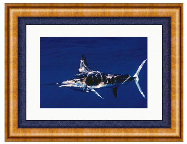 STRIPED TAGGED MARLIN PHOTO ART FRAMED View 1