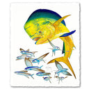 BULL DOLPHIN View 1