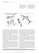 Guy Harvey's Underwater World -Remarque View 4