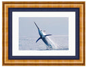 BLUE MARLIN PHOTO ART FRAMED View 1