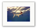 WHITETAIL PHOTO ART UNFRAMED View 1
