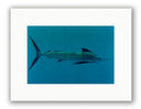 ACCELERATOR PHOTO ART UNFRAMED View 1