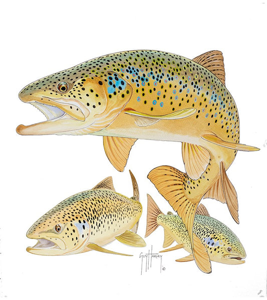 Three Brown Trout View 1