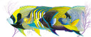 Angelface Pacific I View 1