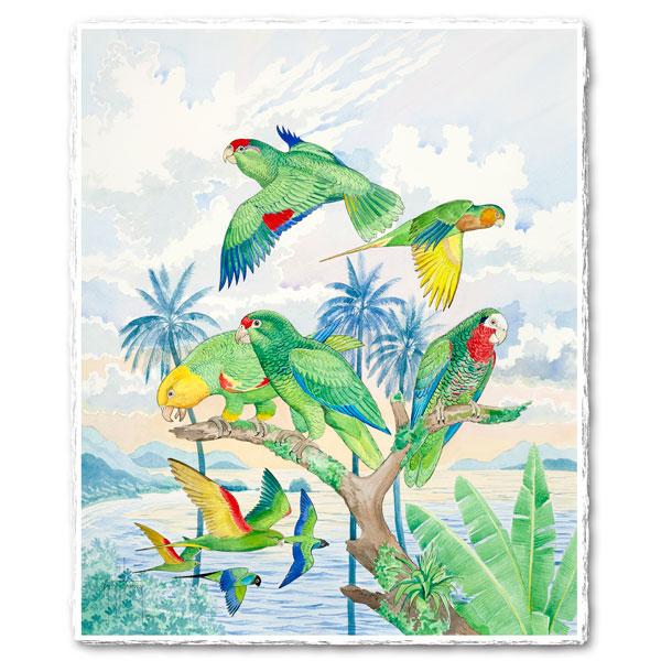 PARROTS OF THE CARIBBEAN
