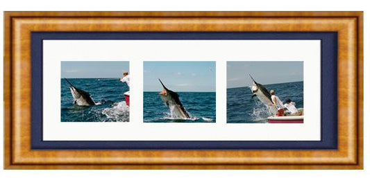 UP CLOSE & PERSONAL TRIPTYCH PHOTO ART FRAMED