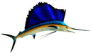 78 INCH SAILFISH View 1