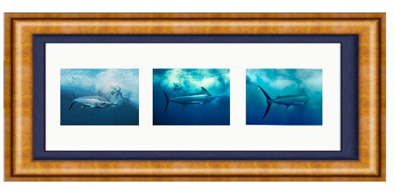 EXPEDITION BLACK MARLIN TRIPTYCH PHOTO ART FRAMED View 1