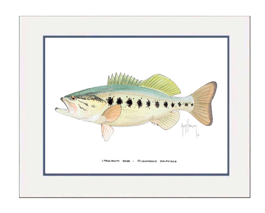 Largemouth Bass Mini Print