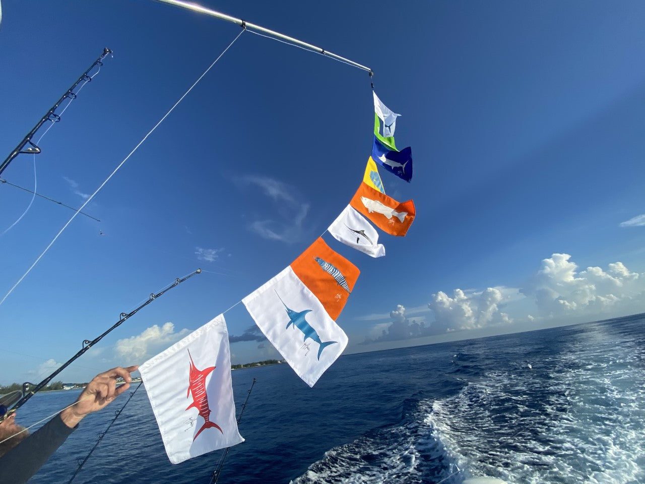 Swordfish Flag View 2