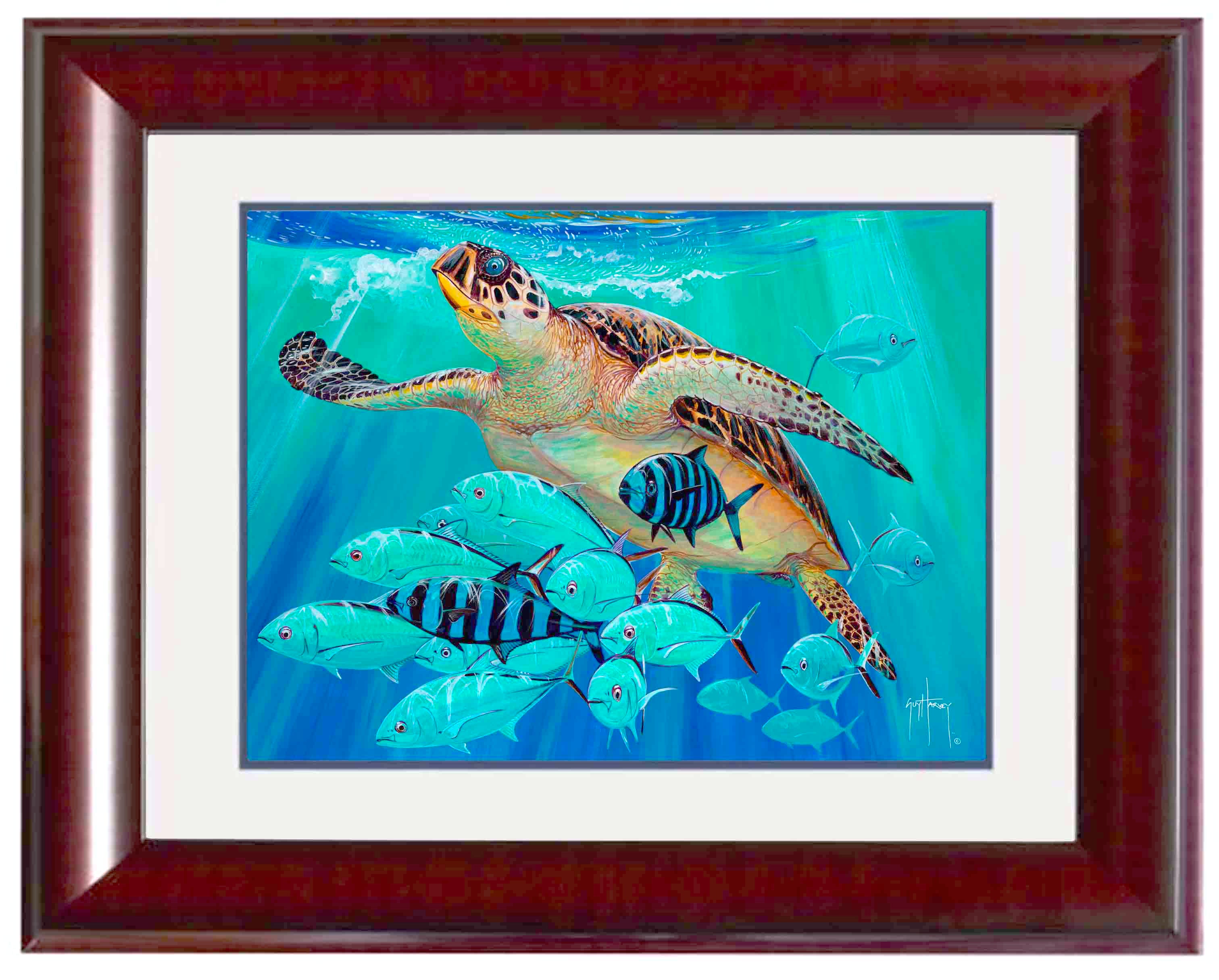 Guy Harvey | Dual Stingray Reef Small Canvas Art, 13x13