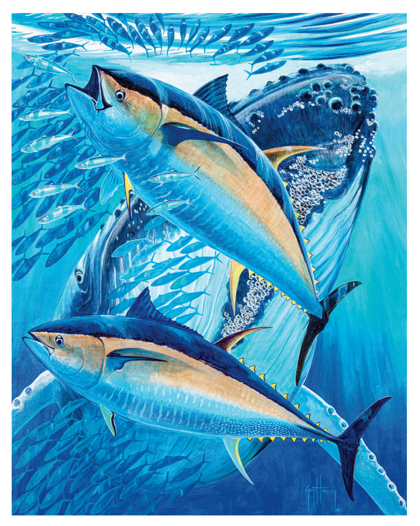 Guy Harvey's Underwater World Bundle View 6