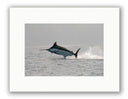 MADERIA BLUE PHOTO ART UNFRAMED View 1