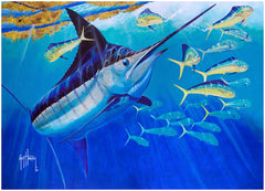 Guy Harvey's New Arm Candy