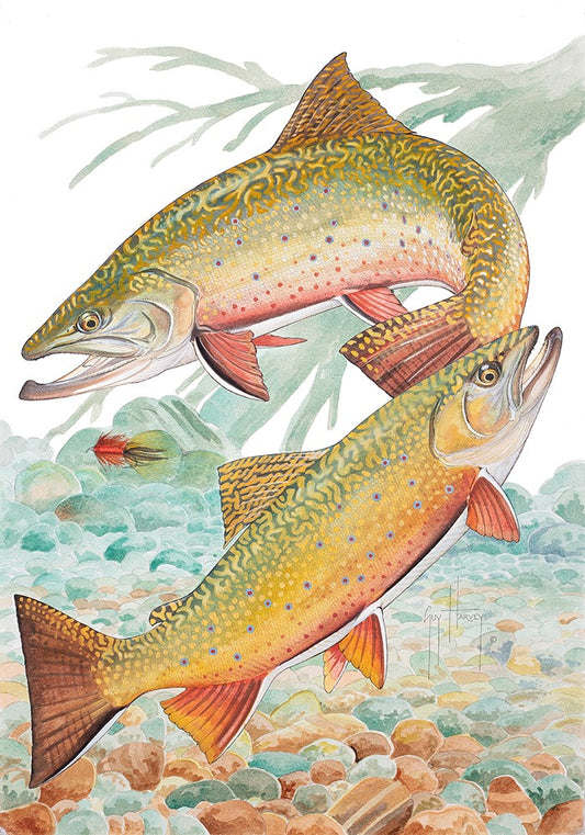 Brook Trout View 1