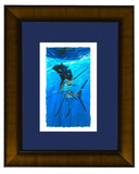 HOO'S NEXT SAILFISH View 1