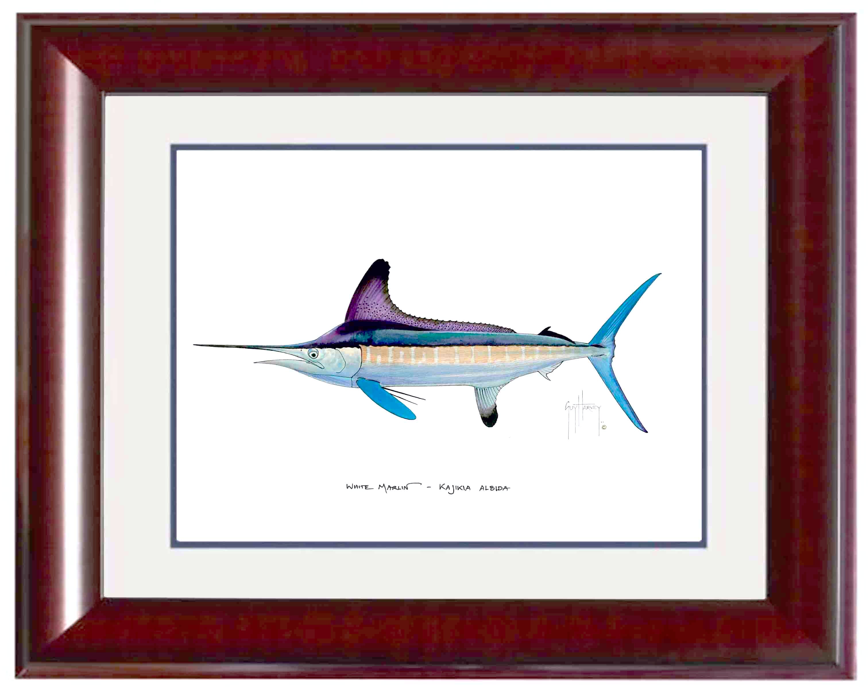 White Marlin Mini Print View 2